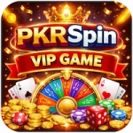 PKRSpin Vip Game