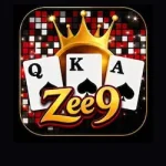 ZEE9 Game